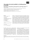 Báo cáo khoa học: The proline-rich protein palladin is a binding partner for proﬁlin