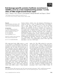 Báo cáo khoa học: End-damage-speciﬁc proteins facilitate recruitment or stability of X-ray cross-complementing protein 1 at the sites of DNA single-strand break repair