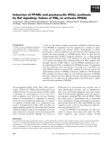 Báo cáo khoa học: Induction of PPARb and prostacyclin (PGI2) synthesis by Raf signaling: failure of PGI2 to activate PPARb