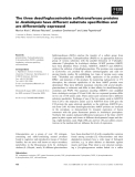 Báo cáo khoa học: The three desulfoglucosinolate sulfotransferase proteins in Arabidopsis have different substrate speciﬁcities and are differentially expressed