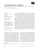 Báo cáo khoa học: The hemoglobin genes of Drosophila