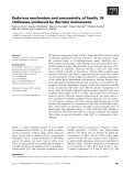 Báo cáo khoa học: Endo⁄exo mechanism and processivity of family 18 chitinases produced by Serratia marcescens