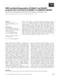 Báo cáo khoa học: DNA mediated disassembly of hRad51 and hRad52 proteins and recruitment of hRad51 to ssDNA by hRad52