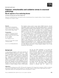Báo cáo khoa học:  Calcium, mitochondria and oxidative stress in neuronal pathology Novel aspects of an enduring theme
