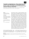 Báo cáo khoa học: Tryptophan tryptophylquinone cofactor biogenesis in the aromatic amine dehydrogenase of Alcaligenes faecalis Cofactor assembly and catalytic properties of recombinant enzyme expressed in Paracoccus denitriﬁcans