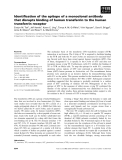 Báo cáo khoa học: Identiﬁcation of the epitope of a monoclonal antibody that disrupts binding of human transferrin to the human transferrin receptor