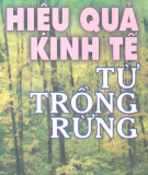 Kiến thức gia đình - Hiệu quả kinh tế từ trồng rừng