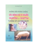 Hướng dẫn phòng chống các bệnh do vi khuẩn chlamydia từ động vật lây sang người