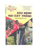 Sâu bệnh hại cây trồng cách phòng trị