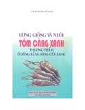 Tôm càng xanh thương phẩm - Cách ương giống và nuôi ở đồng bằng Sông Cửu Long