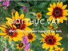 Giới thực vật - GV: TS. Nguyễn Dương Tâm Anh