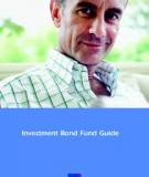 Sterling Investment Bond Investment funds guide