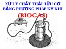 Xử lý chất thải hữu cơ bằng phương pháp kỵ khí (Biogas)