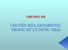 CHUYỂN HÓA XENOBIOTIC TRONG XỬ LÝ NƯỚC THẢI