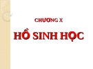 Hồ sinh học