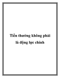 Tiền thưởng không phải là động lực chính