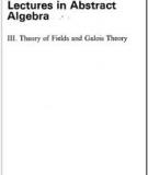 Lectures On The Algebraic Theory Of Fields