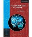  Book From Molecules To Minds