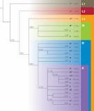 The Genographic Project Public Participation Mitochondrial DNA Database