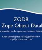 Introduction to the Zope Object Database