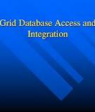 Grid Database Access and Integration: Requirements and Functionalities  