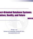 Object-Oriented  Database  Systems:  Promises,  Reality, and Future 