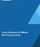 Oracle Databases on VMware  Best Practices Guide   