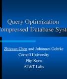 Query Optimization In Compressed Database Systems