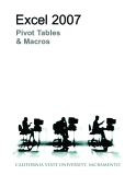 Excel  2007 pivot and macro