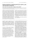 Báo cáo khoa học: Membrane distribution of epidermal growth factor receptors in cells expressing different gangliosides