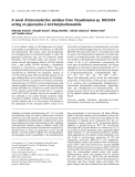 Báo cáo khoa học:  A novel R-stereoselective amidase from Pseudomonas sp. MCI3434 acting on piperazine-2-tert-butylcarboxamide