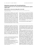 Báo cáo khóa học:  Mycoplasma pneumoniae HPr kinase/phosphorylase Assigning functional roles to the P-loop and the HPr kinase/phosphorylase signature sequence motif