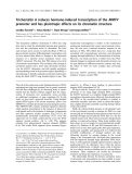 Báo cáo khóa học: Trichostatin A reduces hormone-induced transcription of the MMTV promoter and has pleiotropic effects on its chromatin structure