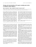 Báo cáo khoa học: Cloning and characterization of the genes encoding toxic lectins in mistletoe (Viscum album L)