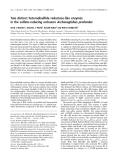 Báo cáo khóa học:  Two distinct heterodisulﬁde reductase-like enzymes in the sulfate-reducing archaeon Archaeoglobus profundus