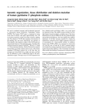 Báo cáo khoa học: Genomic organization, tissue distribution and deletion mutation of human pyridoxine 5¢-phosphate oxidase
