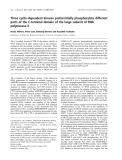 Báo cáo khóa học: Three cyclin-dependent kinases preferentially phosphorylate different parts of the C-terminal domain of the large subunit of RNA polymerase II