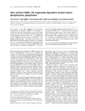 Báo cáo khóa học: How calcium inhibits the magnesium-dependent enzyme human phosphoserine phosphatase