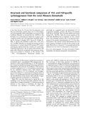 Báo cáo khóa học: Structural and functional comparison of 15S- and 15R-speciﬁc cyclooxygenases from the coral Plexaura homomalla