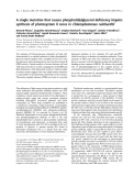 Báo cáo khóa học:  A single mutation that causes phosphatidylglycerol deﬁciency impairs synthesis of photosystem II cores in Chlamydomonas reinhardtii