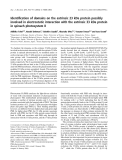 Báo cáo khóa học:  Identiﬁcation of domains on the extrinsic 23 kDa protein possibly involved in electrostatic interaction with the extrinsic 33 kDa protein in spinach photosystem II