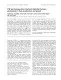 Báo cáo khóa học:  FTIR spectroscopy shows structural similarities between photosystems II from cyanobacteria and spinach