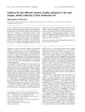 Báo cáo khoa học:  Evidence for two different electron transfer pathways in the same enzyme, nitrate reductase A from Escherichia coli