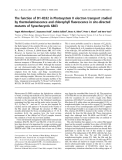 Báo cáo khóa học: The function of D1-H332 in Photosystem II electron transport studied by thermoluminescence and chlorophyll ﬂuorescence in site-directed mutants of Synechocystis 6803