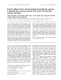 Báo cáo khóa học: Emerin binding to Btf, a death-promoting transcriptional repressor, is disrupted by a missense mutation that causes Emery–Dreifuss muscular dystrophy