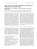 Báo cáo khóa học:  Crystal structure of the chi:psi subassembly of the Escherichia coli DNA polymerase clamp-loader complex