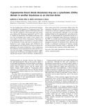 Báo cáo khóa học: Trypanosoma brucei oleate desaturase may use a cytochrome b5-like domain in another desaturase as an electron donor