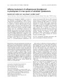 Báo cáo khóa học: Differing involvement of sulfoquinovosyl diacylglycerol in photosystem II in two species of unicellular cyanobacteria