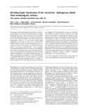 Báo cáo khóa học:  UV-A/blue-light inactivation of the ‘metal-free’ hydrogenase (Hmd) from methanogenic archaea The enzyme contains functional iron after all