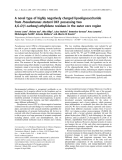 Báo cáo khoa học:  A novel type of highly negatively charged lipooligosaccharide from Pseudomonas stutzeri OX1 possessing two 4,6-O-(1-carboxy)-ethylidene residues in the outer core region